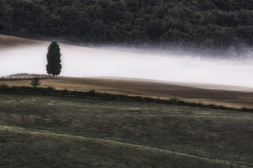 DSC_3600 1000-Chianti Fields.jpg